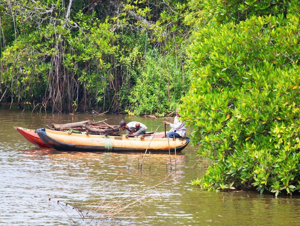 Okvin River Villa Bentota Exterior foto